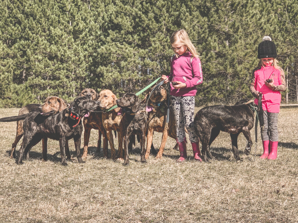May 2020 | Courtney Yuma | 2 girls and their pack of hounds | Getting the hounds ready
