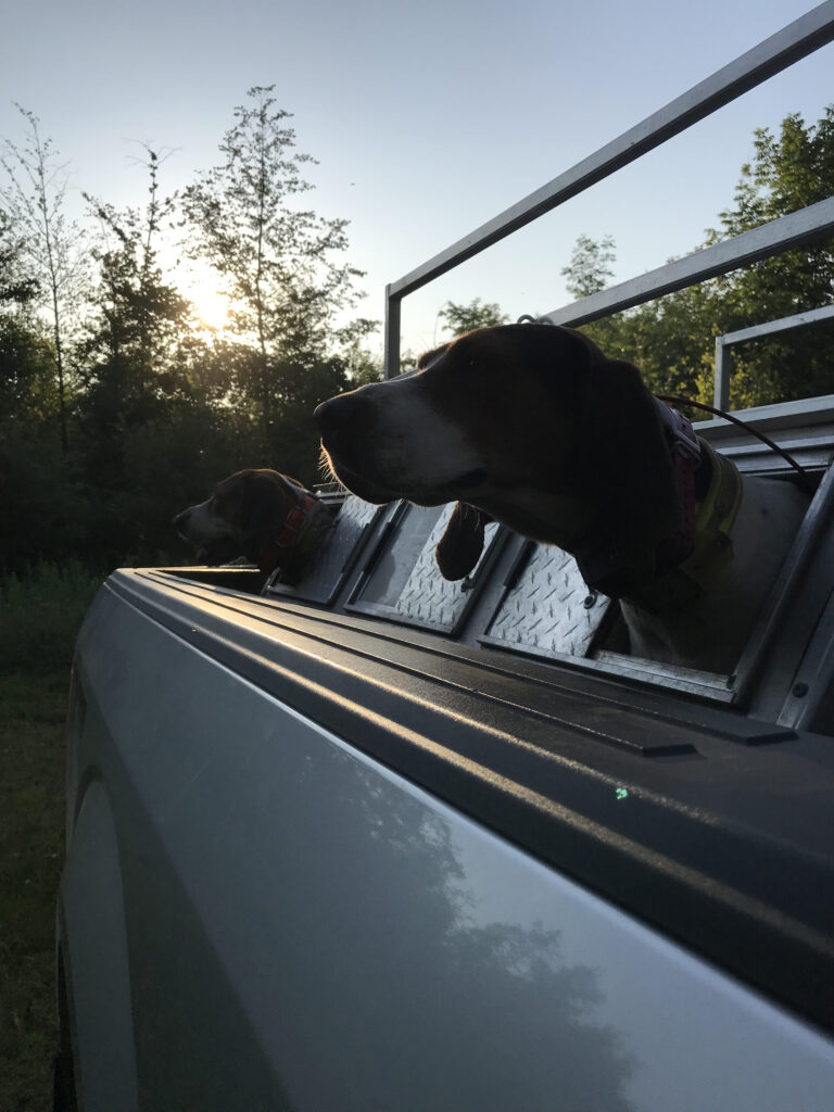 June 2020 | Alexis Balliett | Sunrise Hunt | Kate and Brandy