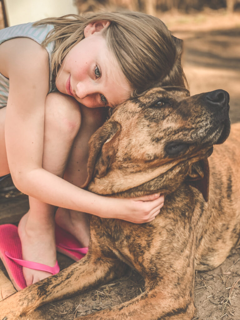 May 2021 | Courney Yuma | Just a girl and her hound | Skylarr and her hound Lizzie just taking an afternoon rest