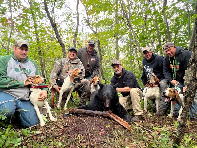 2024 - 1 Jan - POTM January 2024 | Scott Guldan | Fall Magic | Tim, a cancer survivor with a bucket list item of killing a bear. He made mistakes as a bait sitter and was unsuccessful in his one-week hunt. He ran into our group and asked if he could run a bear with our dogs before heading home. During his last day of being able to hunt, we ran this 230-pound bear, he shot, and his dream was fulfilled! Hunters left to right are: Chris Goehring, Matt Schnabel, Ken Bruesewitz, Richard Smazal, and Scott Guldan.