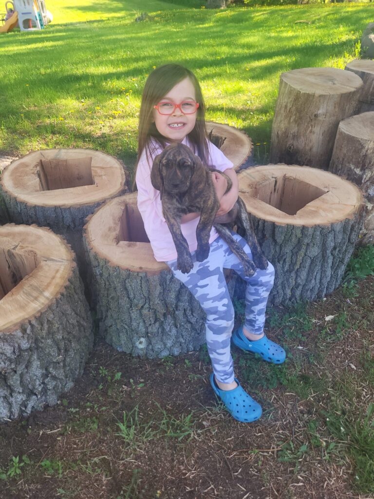 POTM 2024 June June 2024 | Eli Belisle | Alice and her new puppy | Alice is ready for bear season with her new puppy, Rubble. She is helpful with all the hounds in the yard and isn't afraid to help carry bait into the woods. She wants to put out some new baits stumps but said her dad can carry them into the woods.